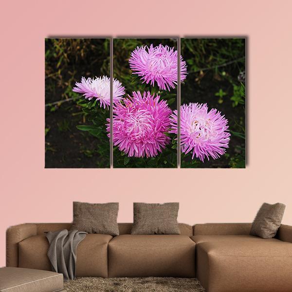 Asters Flowers Canvas Wall Art-3 Horizontal-Gallery Wrap-37" x 24"-Tiaracle