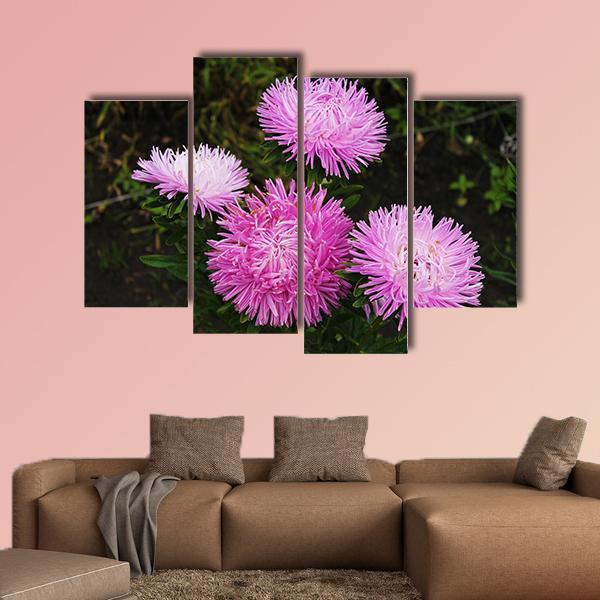 Asters Flowers Canvas Wall Art-4 Pop-Gallery Wrap-50" x 32"-Tiaracle