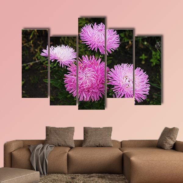 Asters Flowers Canvas Wall Art-5 Pop-Gallery Wrap-47" x 32"-Tiaracle