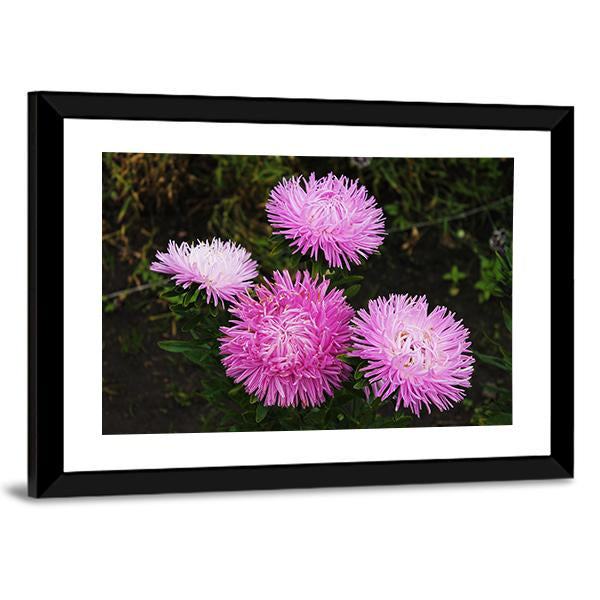 Asters Flowers Canvas Wall Art-5 Horizontal-Gallery Wrap-22" x 12"-Tiaracle