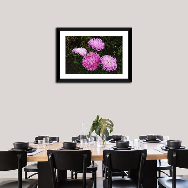 Asters Flowers Canvas Wall Art-5 Horizontal-Gallery Wrap-22" x 12"-Tiaracle