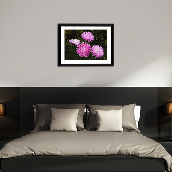 Asters Flowers Canvas Wall Art-5 Horizontal-Gallery Wrap-22" x 12"-Tiaracle