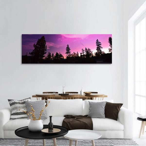Pink Northern Lights Over Pine Silhouttes Panoramic Canvas Wall Art in black, purple and pink, hung on a wall