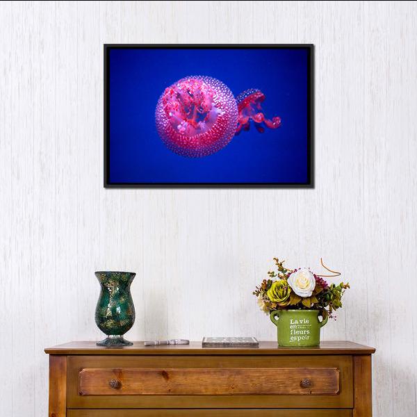 Australian Spotted Jellyfish Canvas Wall Art-1 Piece-Floating Frame-24" x 16"-Tiaracle