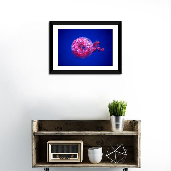 Australian Spotted Jellyfish Canvas Wall Art-1 Piece-Framed Print-20" x 16"-Tiaracle