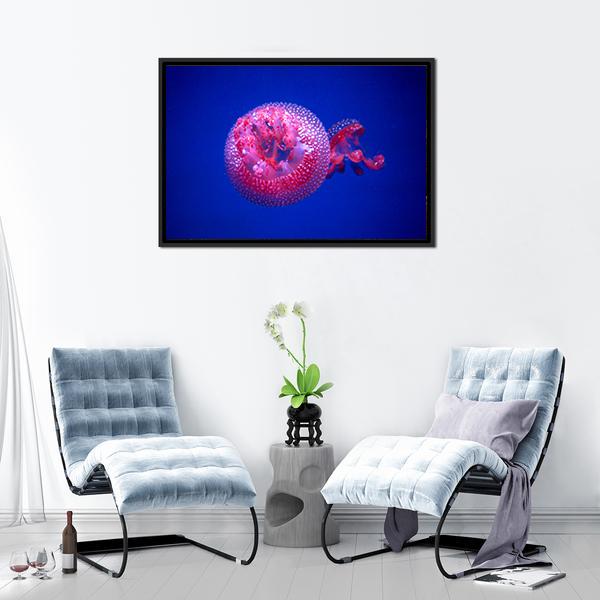 Australian Spotted Jellyfish Canvas Wall Art-5 Horizontal-Gallery Wrap-22" x 12"-Tiaracle