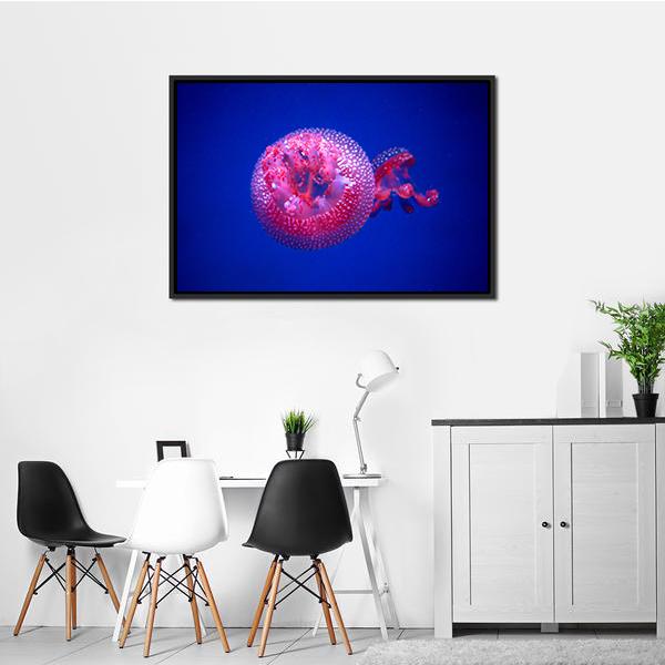 Australian Spotted Jellyfish Canvas Wall Art-3 Horizontal-Gallery Wrap-25" x 16"-Tiaracle
