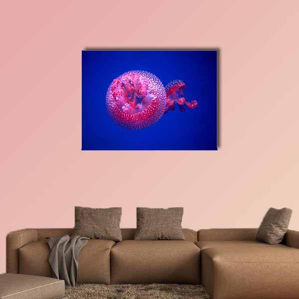 Australian Spotted Jellyfish Canvas Wall Art-1 Piece-Gallery Wrap-24" x 16"-Tiaracle
