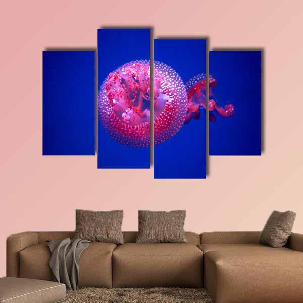 Australian Spotted Jellyfish Canvas Wall Art-4 Pop-Gallery Wrap-34" x 20"-Tiaracle