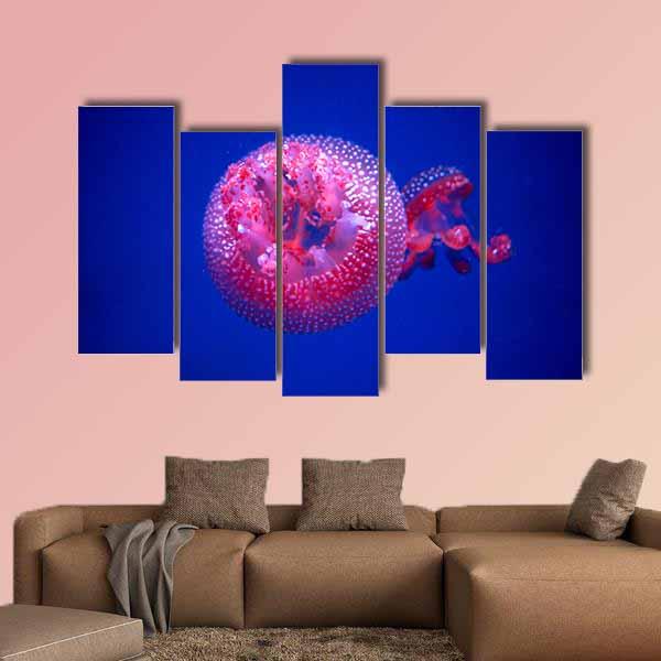 Australian Spotted Jellyfish Canvas Wall Art-5 Pop-Gallery Wrap-32" x 21"-Tiaracle
