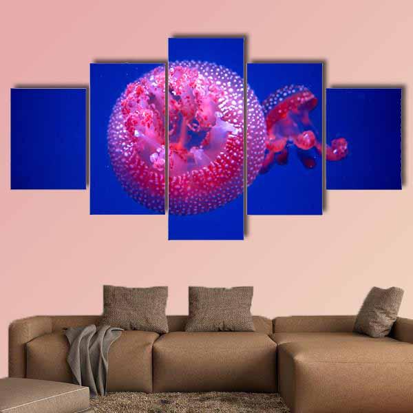 Australian Spotted Jellyfish Canvas Wall Art-5 Star-Gallery Wrap-42" x 21"-Tiaracle