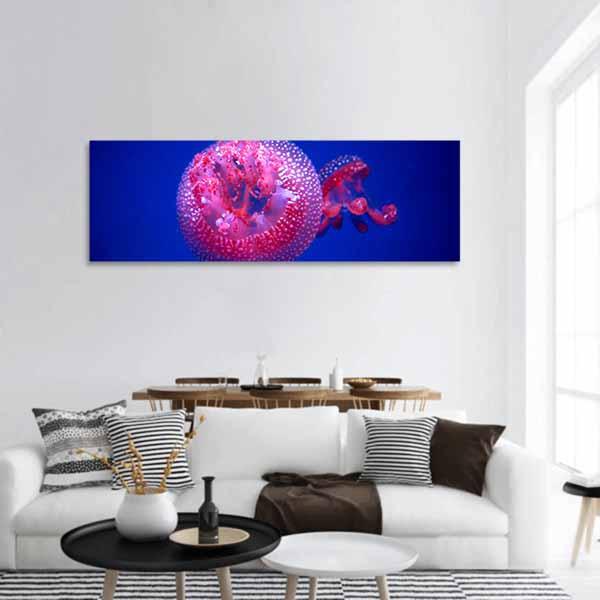 Australian Spotted Jellyfish Panoramic Canvas Wall Art-1 Piece-36" x 12"-Tiaracle
