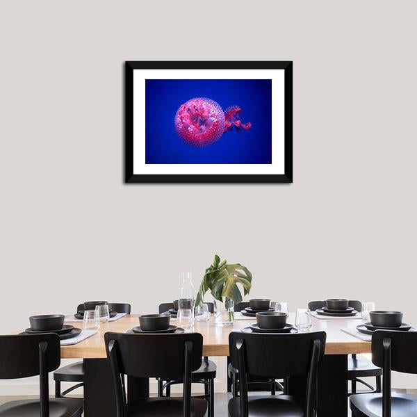 Australian Spotted Jellyfish Panoramic Canvas Wall Art-1 Piece-36" x 12"-Tiaracle