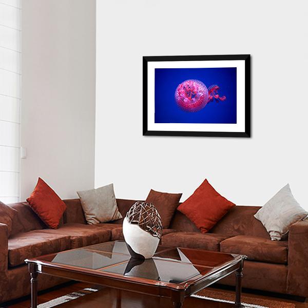 Australian Spotted Jellyfish Panoramic Canvas Wall Art-1 Piece-36" x 12"-Tiaracle