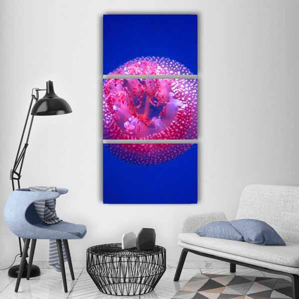 Australian Spotted Jellyfish Vertical Canvas Wall Art-3 Vertical-Gallery Wrap-12" x 25"-Tiaracle