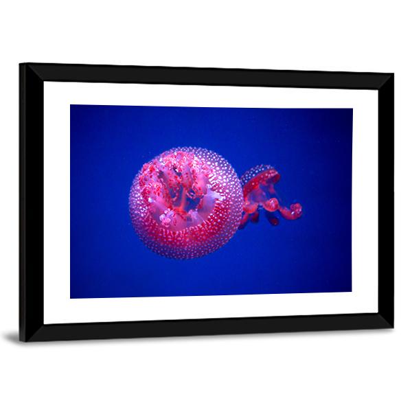 Australian Spotted Jellyfish Vertical Canvas Wall Art-3 Vertical-Gallery Wrap-12" x 25"-Tiaracle