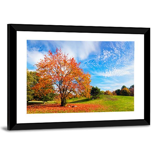 Autumn Fall Landscape With A Tree Canvas Wall Art-3 Horizontal-Gallery Wrap-25" x 16"-Tiaracle