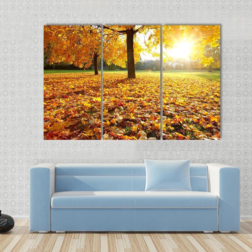 Autumn Fallen Leaves Canvas Wall Art-3 Horizontal-Gallery Wrap-37" x 24"-Tiaracle