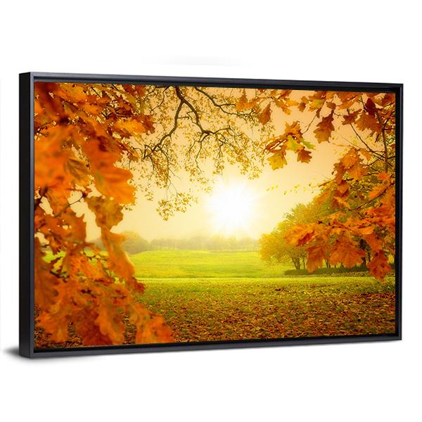 Autumn Forest &amp; Sun Canvas Wall Art-3 Horizontal-Gallery Wrap-25" x 16"-Tiaracle