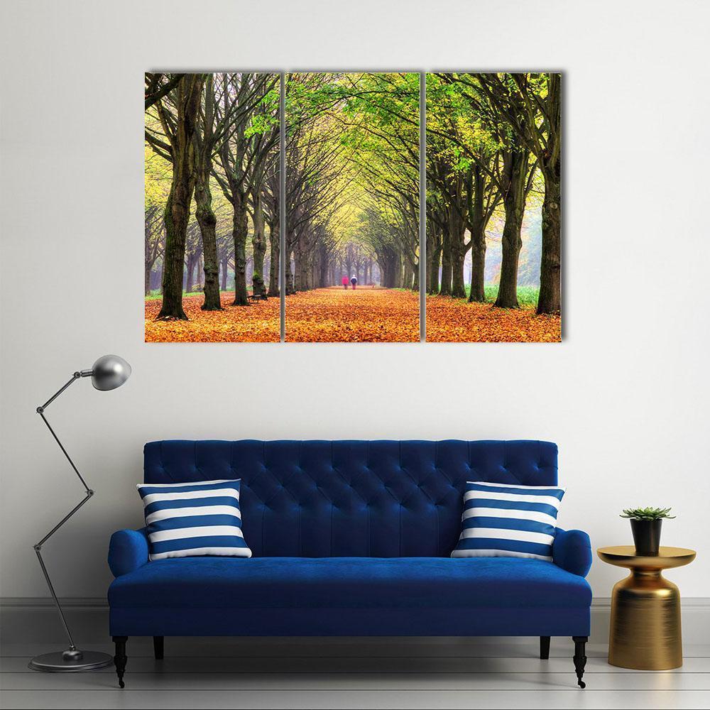 Autumn Forest In Amsterdam Canvas Wall Art-3 Horizontal-Gallery Wrap-37" x 24"-Tiaracle