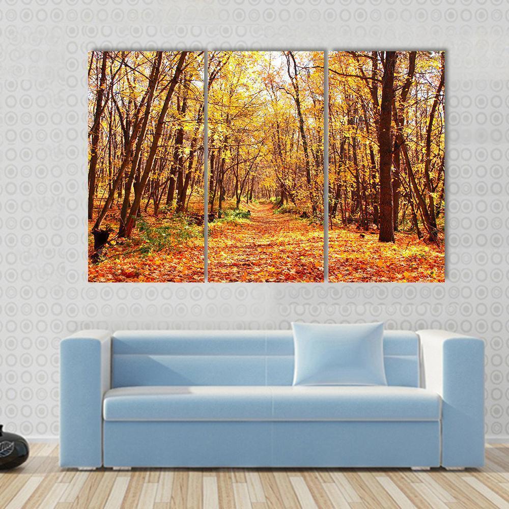 Autumn Forest Landscape Canvas Wall Art-3 Horizontal-Gallery Wrap-37" x 24"-Tiaracle