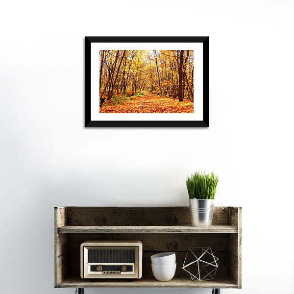 Autumn Forest Landscape Canvas Wall Art-1 Piece-Framed Print-20" x 16"-Tiaracle