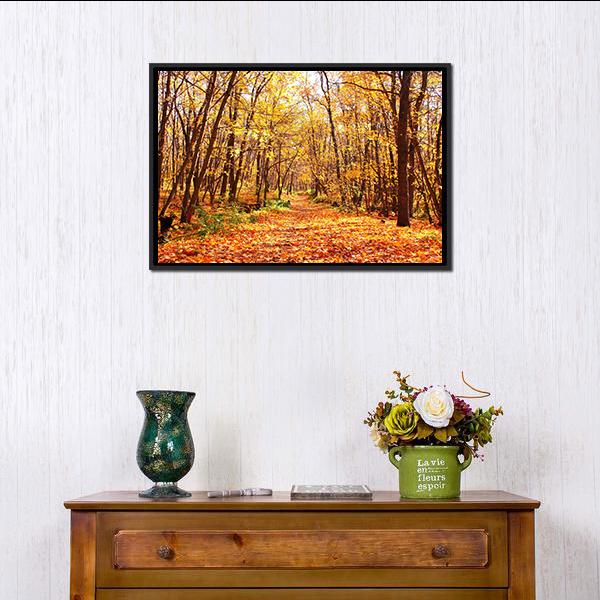 Autumn Forest Landscape Canvas Wall Art-1 Piece-Floating Frame-24" x 16"-Tiaracle