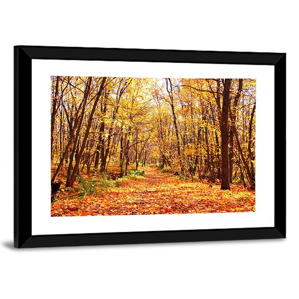Autumn Forest Landscape Canvas Wall Art-3 Horizontal-Gallery Wrap-25" x 16"-Tiaracle