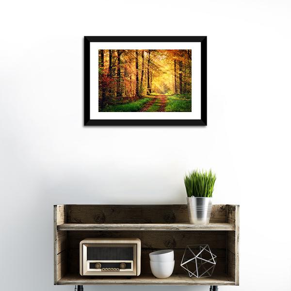 Autumn Forest Pathway Canvas Wall Art-1 Piece-Framed Print-20&quot; x 16&quot;-Tiaracle