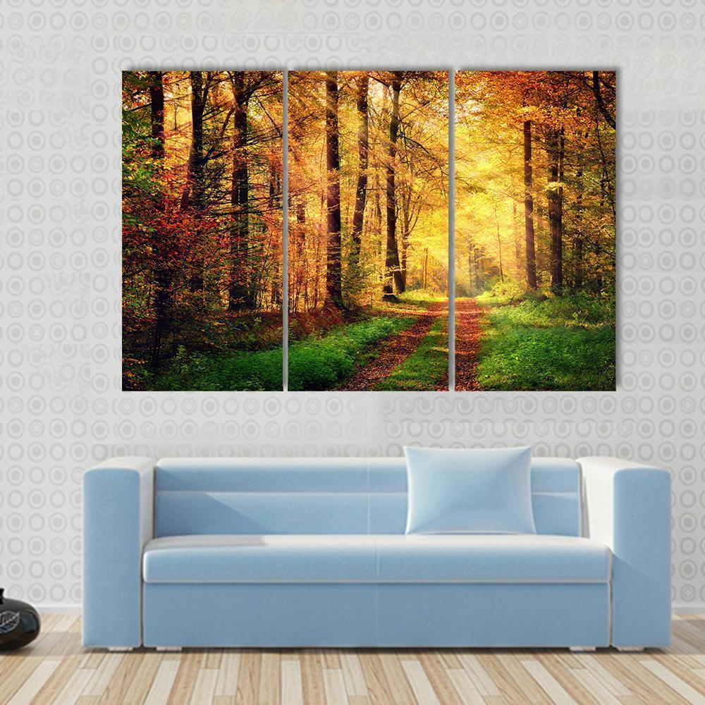 Autumn Forest Pathway Canvas Wall Art-3 Horizontal-Gallery Wrap-37" x 24"-Tiaracle