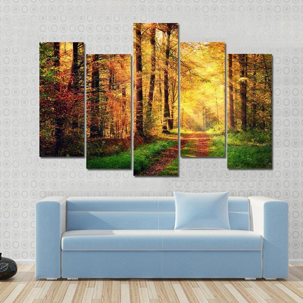 Autumn Forest Pathway Canvas Wall Art-5 Pop-Gallery Wrap-47" x 32"-Tiaracle