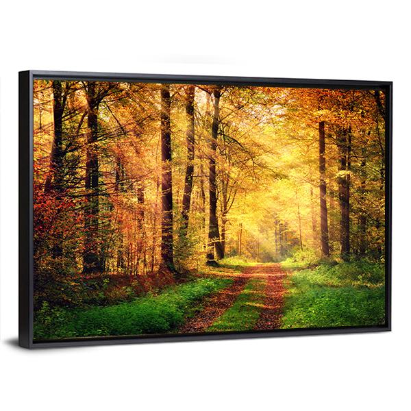 Autumn Forest Pathway Panoramic Canvas Wall Art-1 Piece-36" x 12"-Tiaracle
