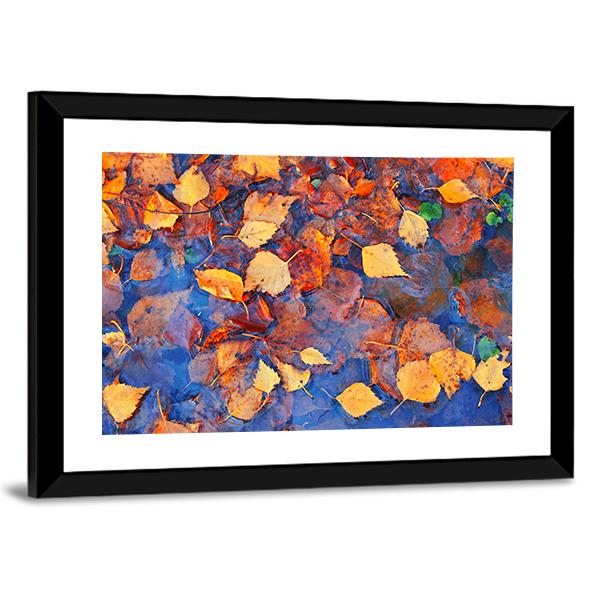 Autumn Leaves In Pond Canvas Wall Art-3 Horizontal-Gallery Wrap-25" x 16"-Tiaracle