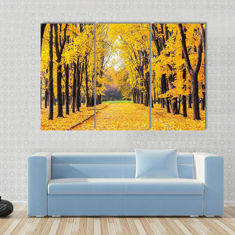 Autumn Park In Alley Canvas Wall Art-3 Horizontal-Gallery Wrap-37" x 24"-Tiaracle
