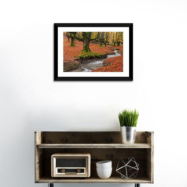 Autumn Season In Forest Canvas Wall Art-1 Piece-Framed Print-20" x 16"-Tiaracle