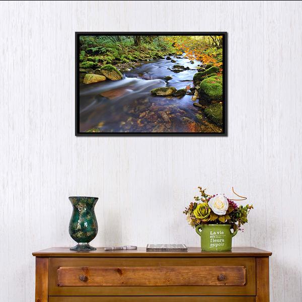 Autumn Stream Flowing In The Woods Canvas Wall Art-1 Piece-Floating Frame-24" x 16"-Tiaracle