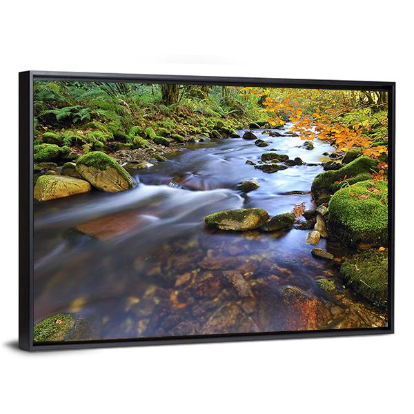 Autumn Stream Flowing In The Woods Canvas Wall Art-3 Horizontal-Gallery Wrap-25" x 16"-Tiaracle