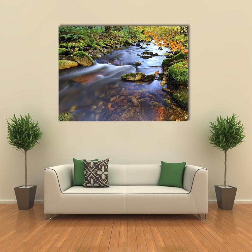 Autumn Stream in the Woods Canvas Wall Art in brown, green and blue, single panel hung on a wall