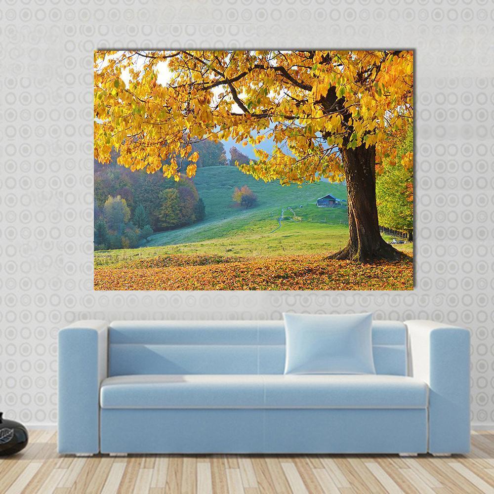 Autumn Trees and Fallen Leaves Canvas Wall Art in orange, yellow and green, single panel hung on a wall