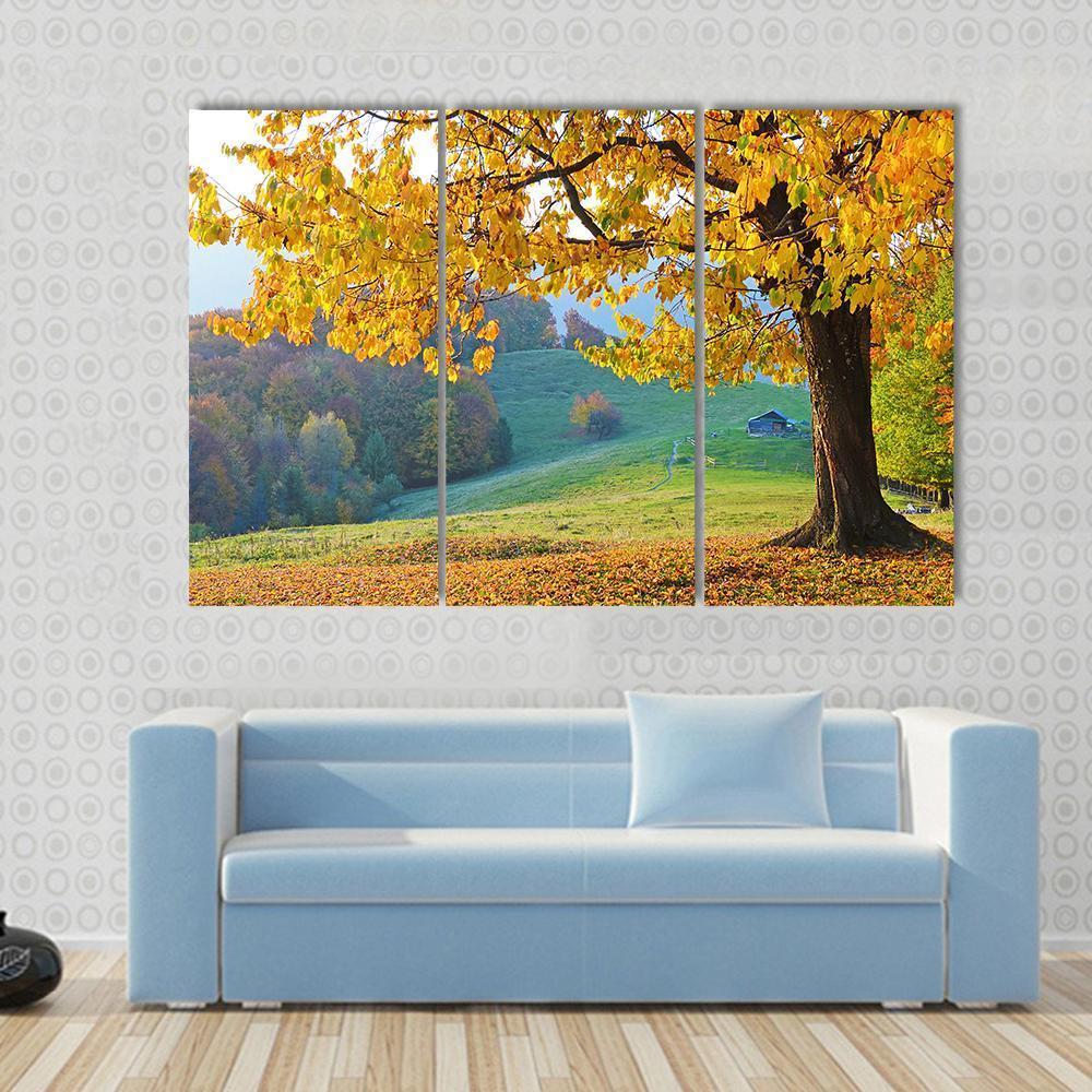 Autumn Trees &amp; Fallen Leaves Canvas Wall Art-3 Horizontal-Gallery Wrap-37" x 24"-Tiaracle