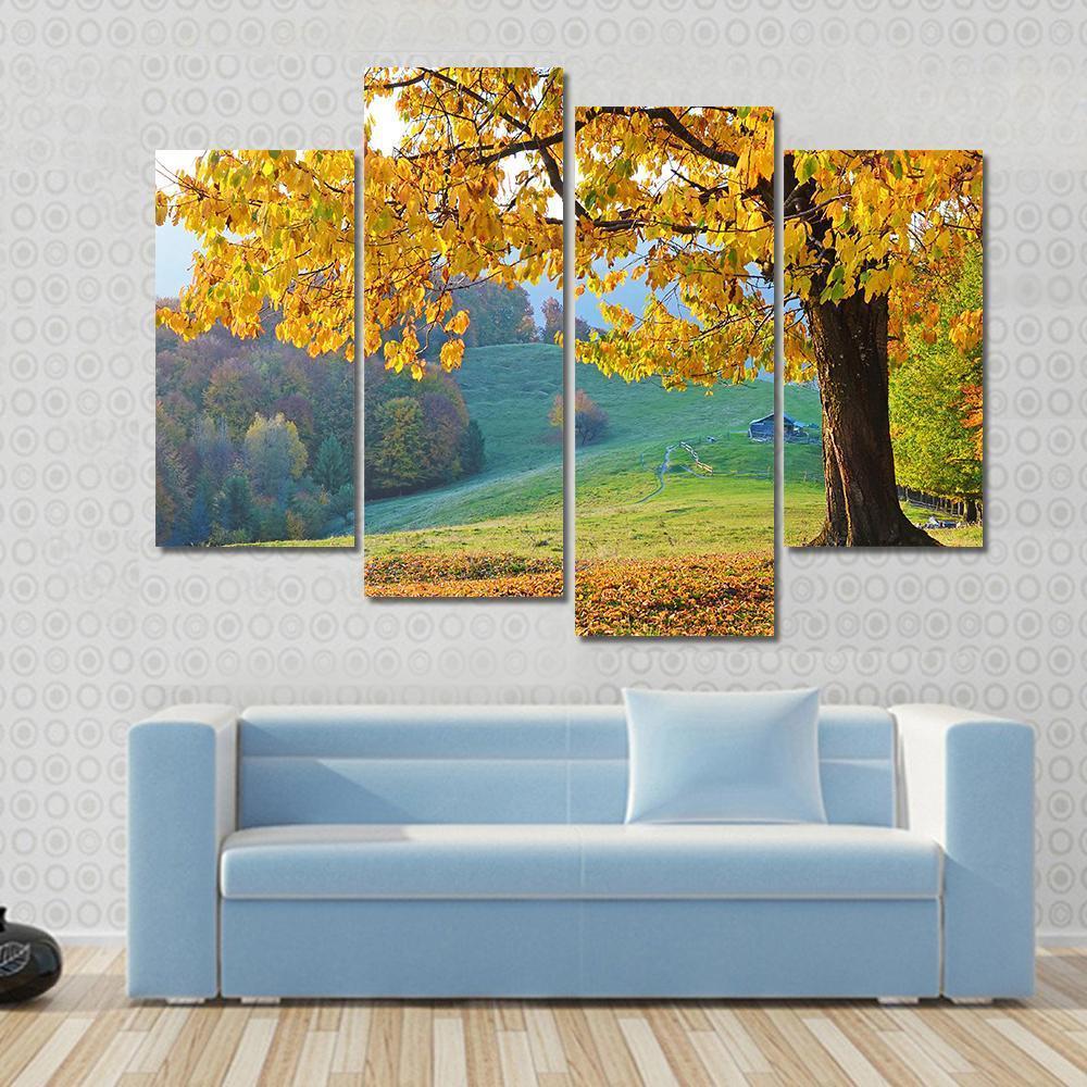 Autumn Trees &amp; Fallen Leaves Canvas Wall Art-4 Pop-Gallery Wrap-50" x 32"-Tiaracle