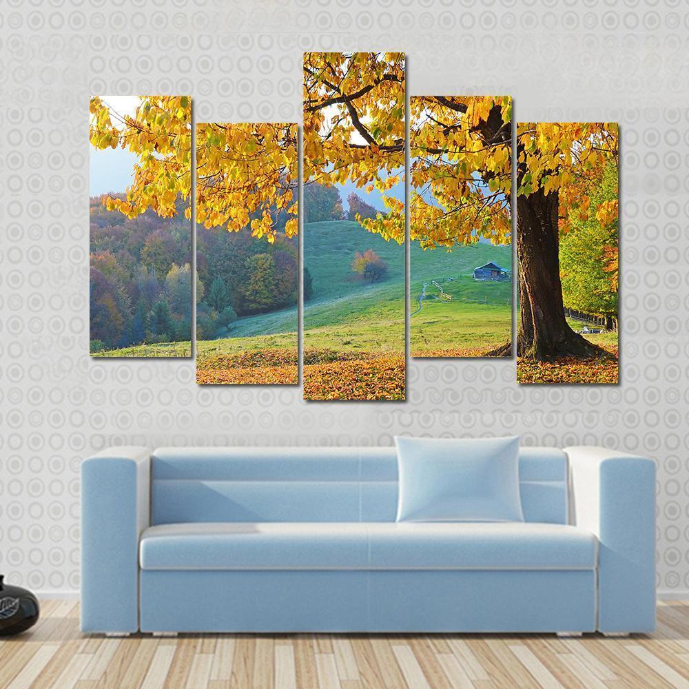 Autumn Trees &amp; Fallen Leaves Canvas Wall Art-5 Pop-Gallery Wrap-47" x 32"-Tiaracle