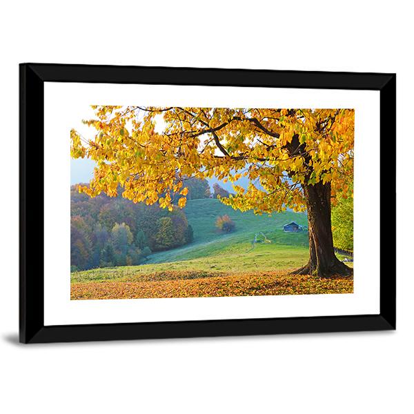 Autumn Trees & Fallen Leaves Canvas Wall Art-3 Horizontal-Gallery Wrap-25" x 16"-Tiaracle