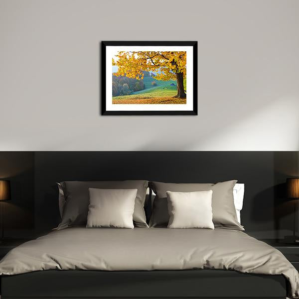 Autumn Trees & Fallen Leaves Canvas Wall Art-3 Horizontal-Gallery Wrap-25" x 16"-Tiaracle