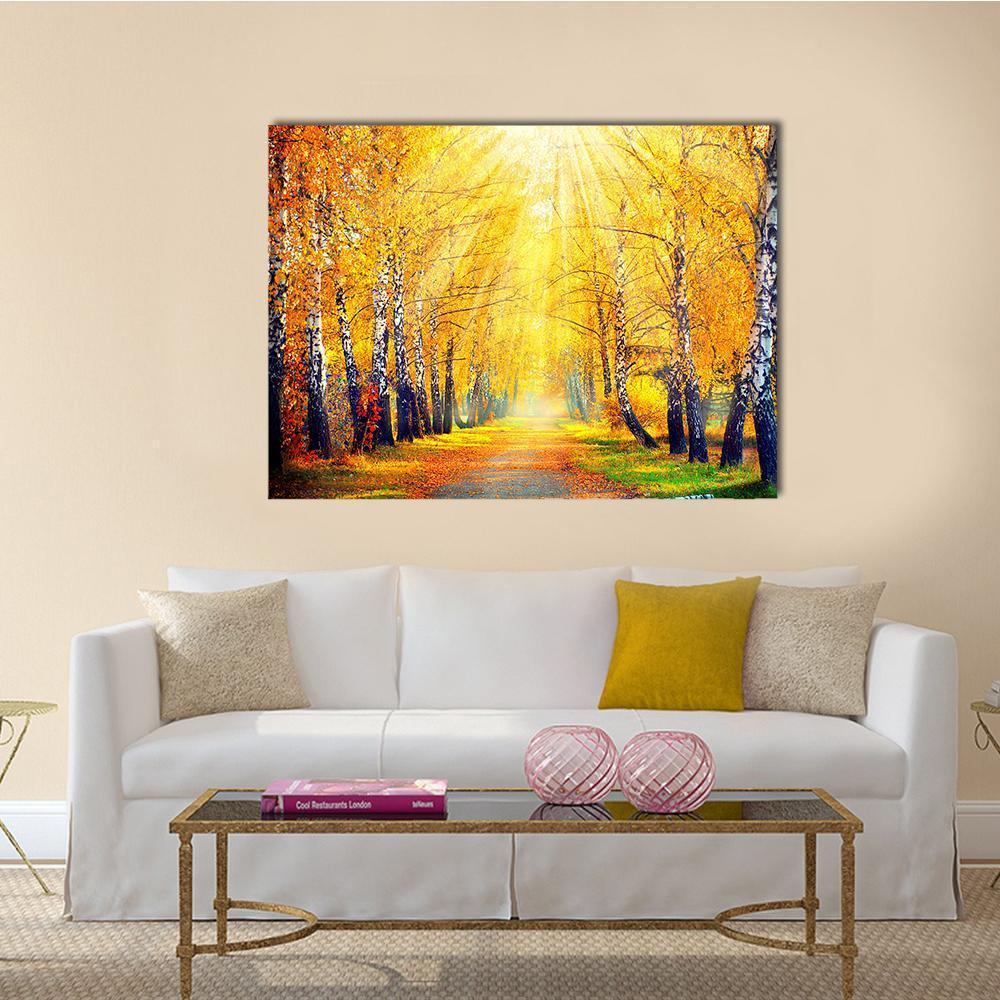 Sunlit Autumn Birch Path Canvas Wall Art in brown, orange and yellow, single panel hung on a wall