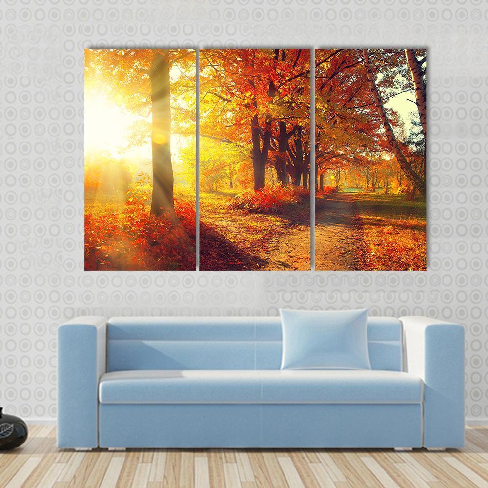 Sun Rays In Autumn Park Canvas Wall Art-3 Horizontal-Gallery Wrap-37" x 24"-Tiaracle