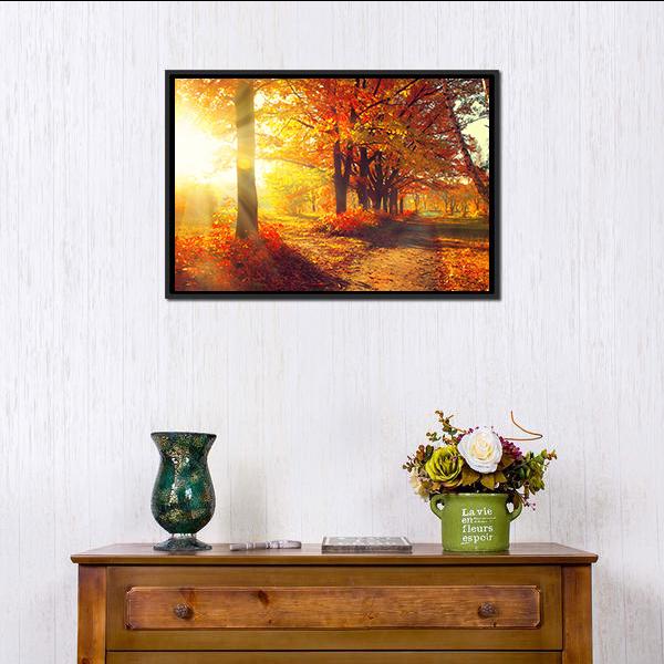 Sun Rays In Autumn Park Canvas Wall Art-1 Piece-Floating Frame-24" x 16"-Tiaracle
