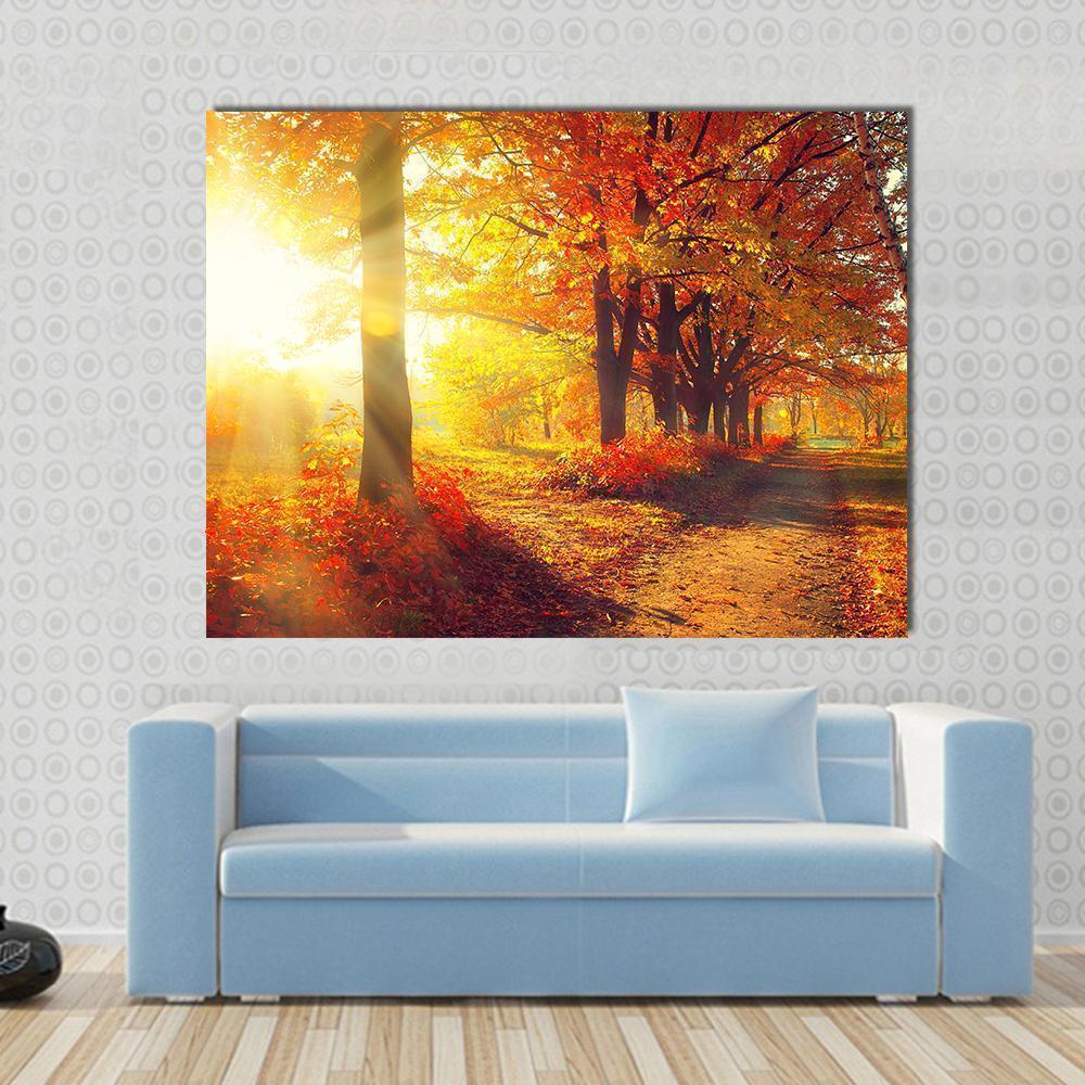 Sun Rays In Autumn Park Canvas Wall Art-1 Piece-Gallery Wrap-36" x 24"-Tiaracle