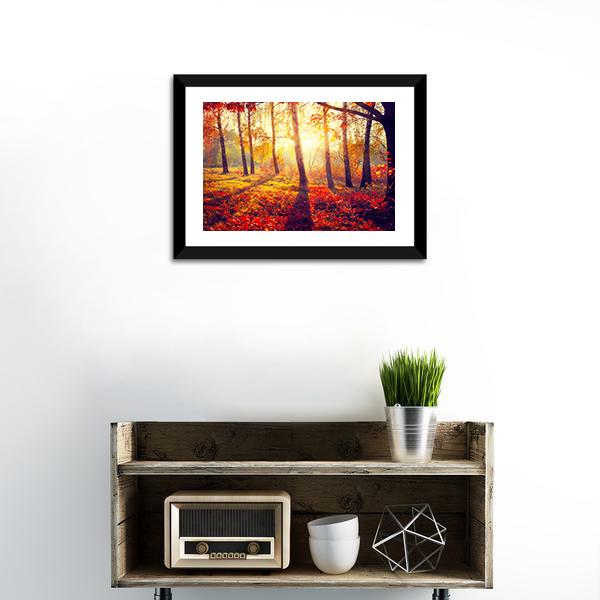 Autumnal Trees In Sun Rays Canvas Wall Art-1 Piece-Framed Print-20" x 16"-Tiaracle