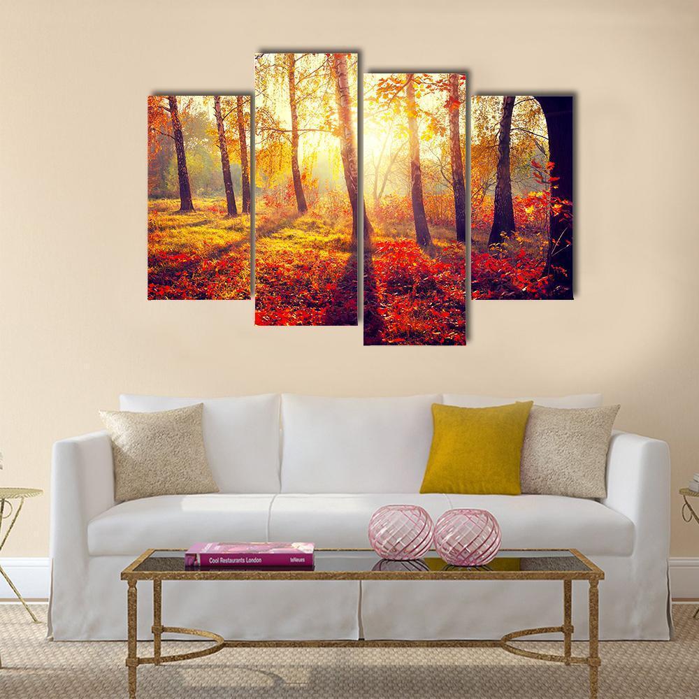 Autumnal Trees In Sun Rays Canvas Wall Art-4 Pop-Gallery Wrap-50&quot; x 32&quot;-Tiaracle